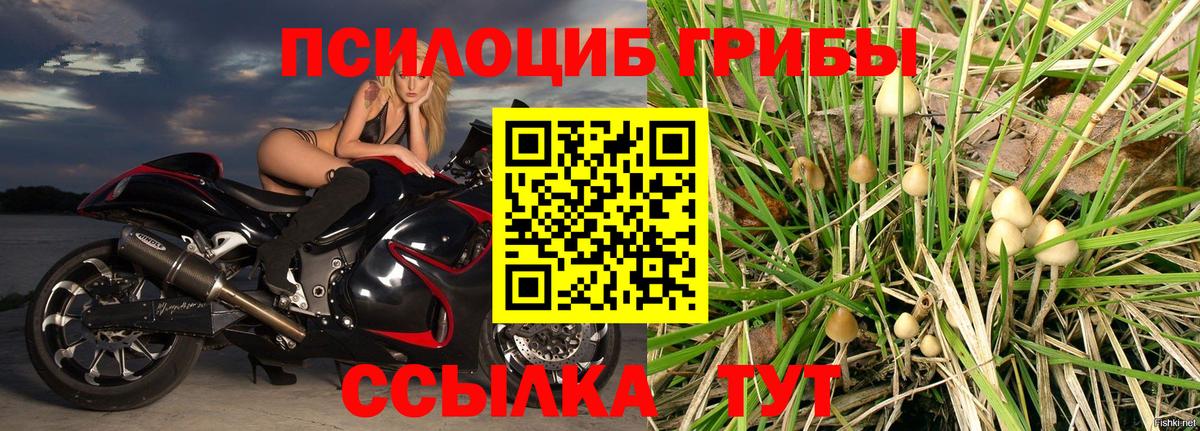 Галлюциногенные грибы MAGIC MUSHROOMS Тосно